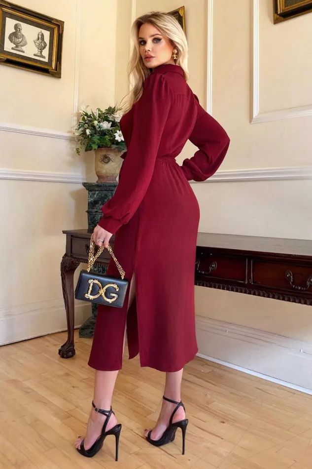 AX Paris Wine Button Front Tie Shirt Midi Dress Dresses