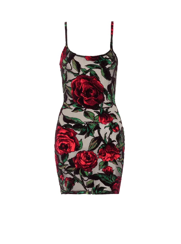 Balmain Dresses Women Burnout Velvet Dress With Rose Print Red
