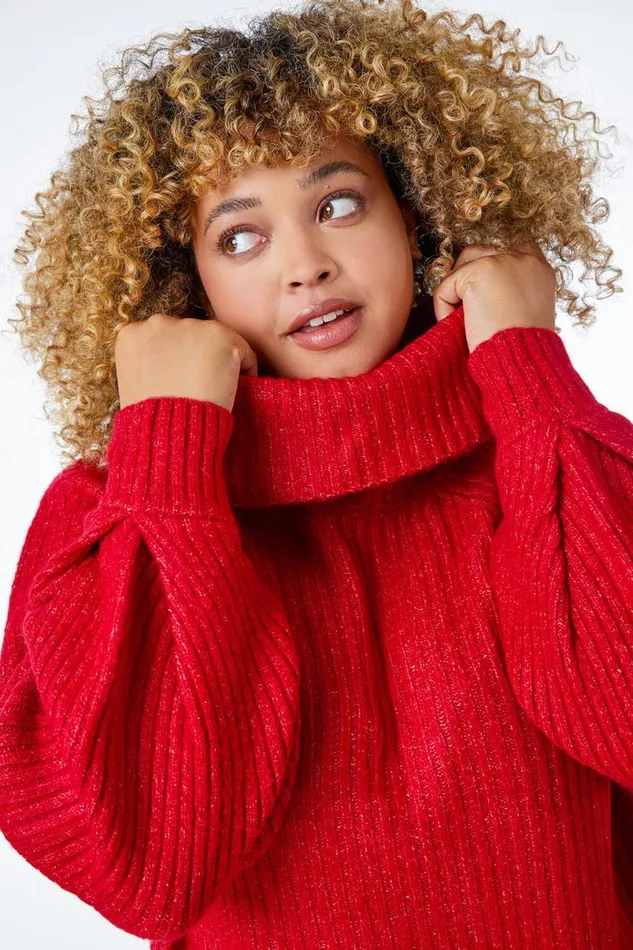 Bordeaux Curve Longline Turtle Neck Jumper Women Roman Knitwear