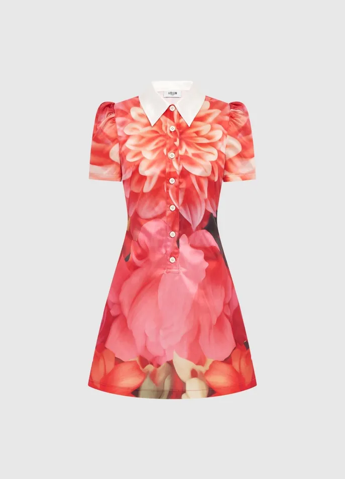 Dresses and Jumpsuits Women LEO LIN Brooke Mini Dress 8211 Kaleidoscope Print