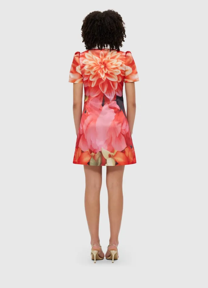 Dresses and Jumpsuits Women LEO LIN Brooke Mini Dress 8211 Kaleidoscope Print