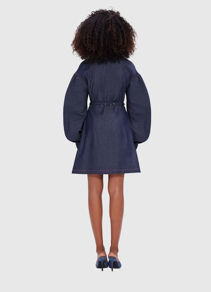 Dresses and Jumpsuits Women LEO LIN Juliana Shirt Denim Mini Dress Indigo