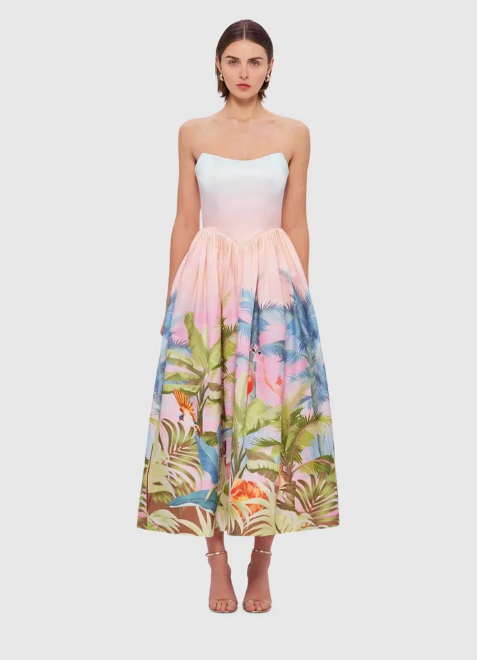 Dresses and Jumpsuits Women LEO LIN Melanie Bustier Midi Dress 8211 Dreamscape Print