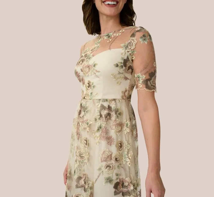 Long Dresses Womens Adrianna Papell Sheer Short Sleeve Lace Gown With Rose Embroidery In Mink Multi