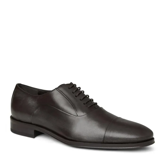Maioco Leather Oxford 8211 Dark Brown Men Bruno Magli Dress Shoes
