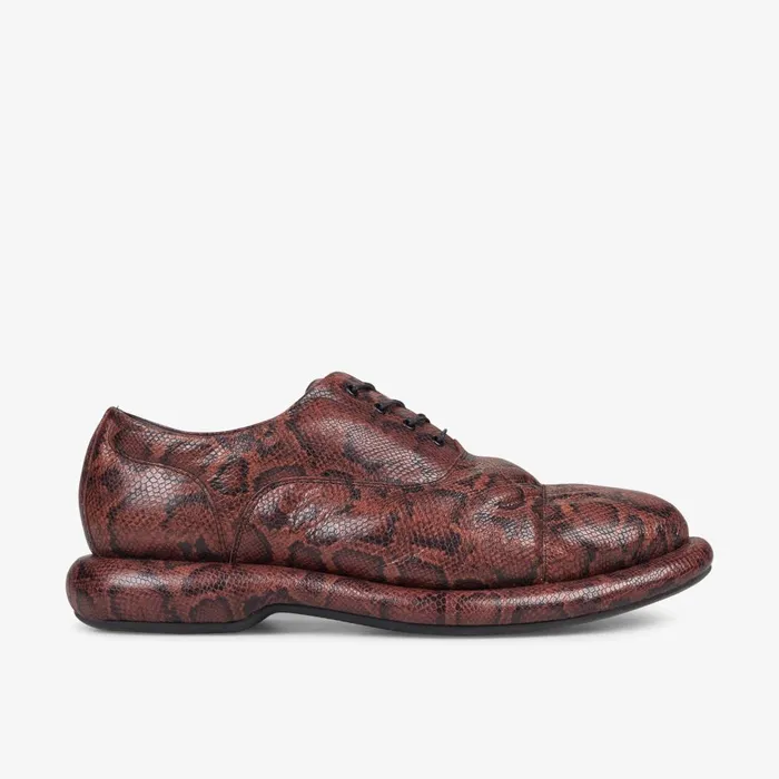 Martine Rose Mens Oxford 1 Brown Snake Men Clarks Casual Dress Shoes