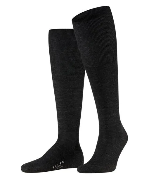 Men Airport Men Kneehigh Socks Anthramel FALKE Knee High Socks
