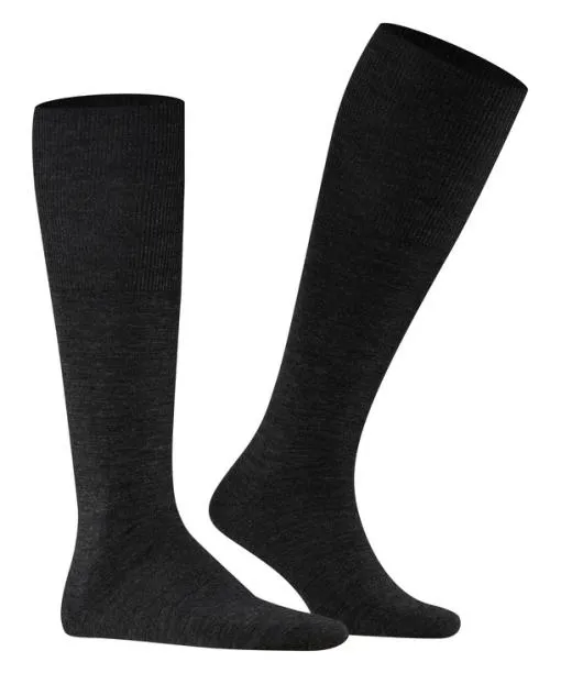 Men Airport Men Kneehigh Socks Anthramel FALKE Knee High Socks