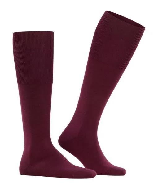 Men Airport Men Kneehigh Socks Barolo FALKE Knee High Socks