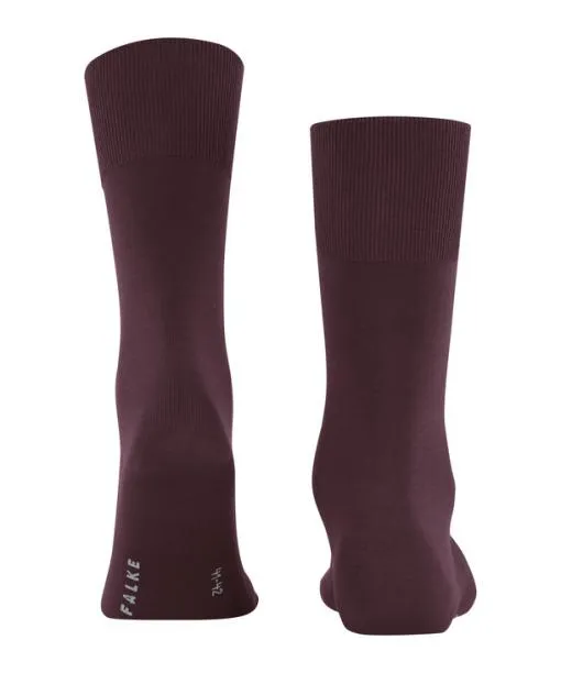 Men ClimaWool Men Socks Barolo FALKE Socks