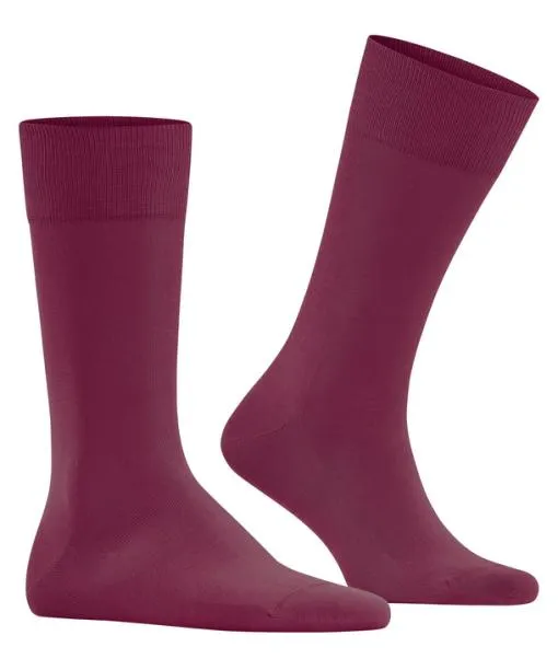 Men Cool 247 Men Socks Red Plum FALKE Socks