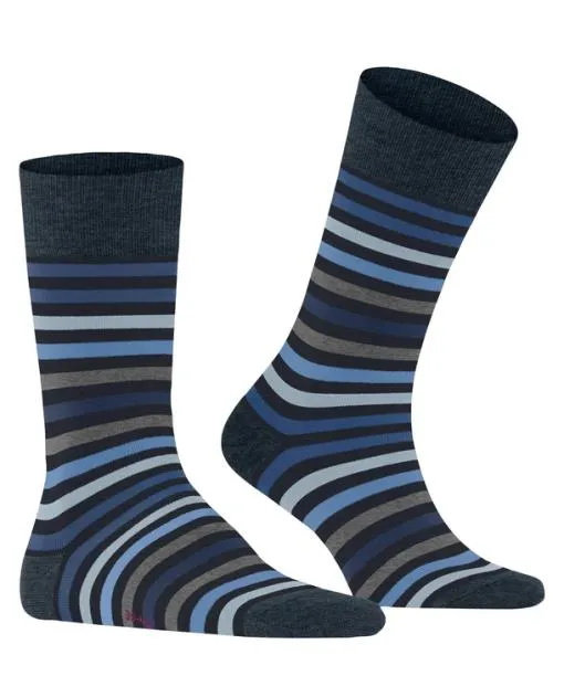 Men Tinted Stripe Men Socks Dark Navy FALKE Socks