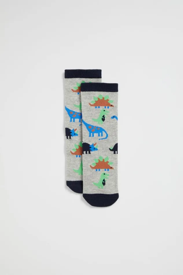Socks Boy Seed Heritage Dino Sock Multi