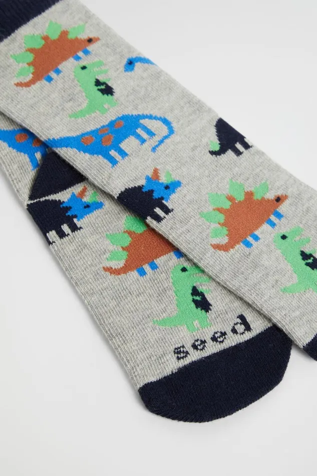 Socks Boy Seed Heritage Dino Sock Multi