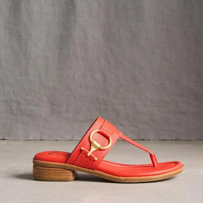Women Fernanda Sandals Black Sundance Catalog Sandals Women Fernanda Sandals Black Sundance Catalog Sandals