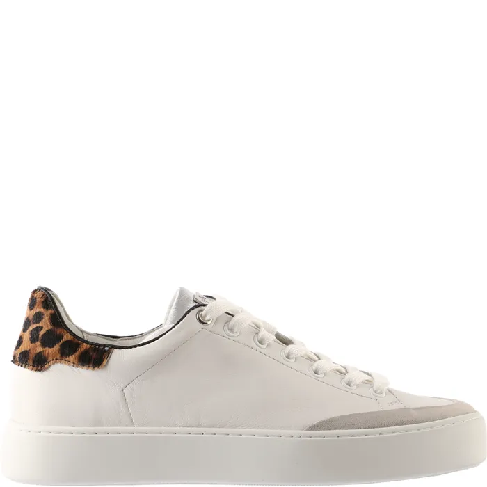 Women Mats Sneakers White Multi HGL Sneakers
