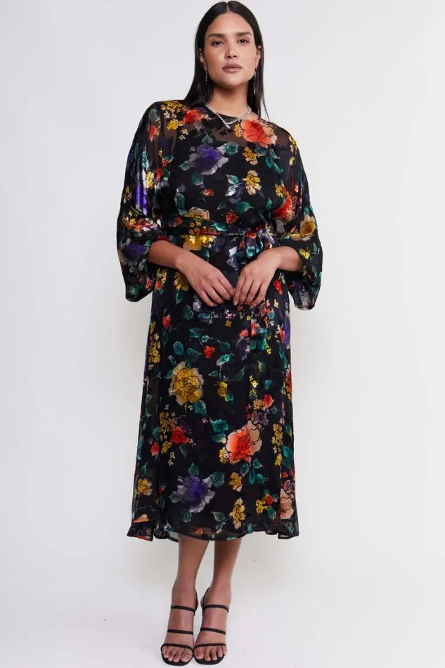 Women RIXO All Clothing Pia Silk Midi Dress Ombr Bloom Black