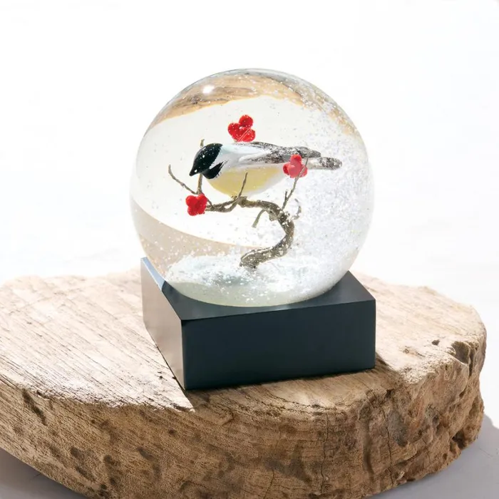 Women Snowy Chickadee Snow Globe Sundance Catalog Seasonal
