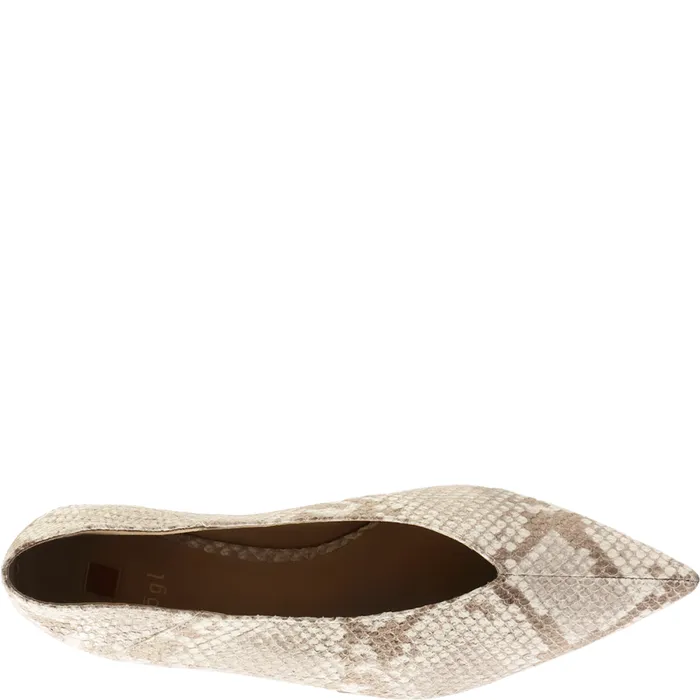 Women Tea Ballerinas Taupe Multi HGL Ballerinas